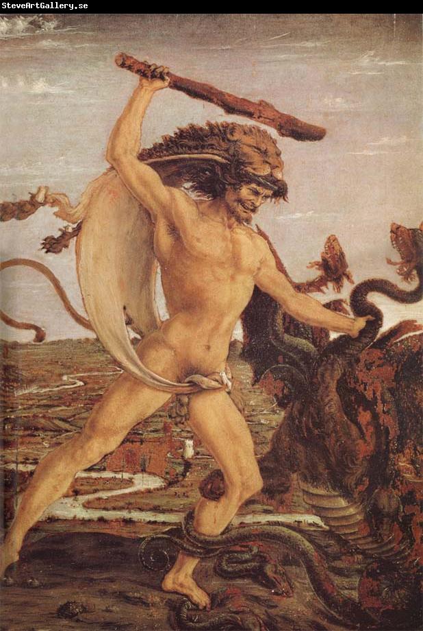 Antonio del Pollaiuolo Hercules and the Hydra